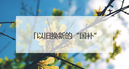 以旧换新的“国补”资金从哪来？如何抵达消费者？山东“硬核”举措有这些→