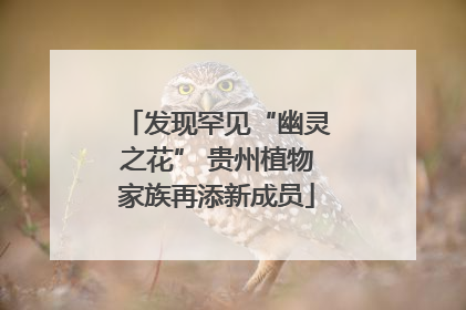 发现罕见“幽灵之花” 贵州植物家族再添新成员
