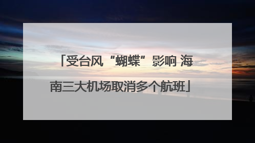 受台风“蝴蝶”影响 海南三大机场取消多个航班