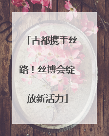 古都携手丝路！丝博会绽放新活力