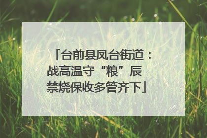 台前县凤台街道：战高温守“粮”辰 禁烧保收多管齐下