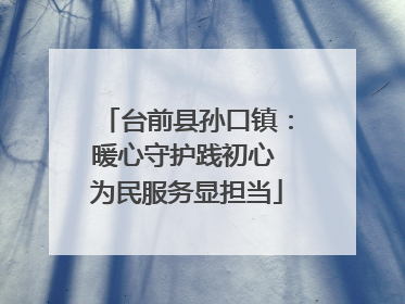 台前县孙口镇：暖心守护践初心 为民服务显担当