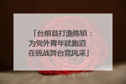 台前县打渔陈镇：为党外青年建跑道 在统战舞台竞风采