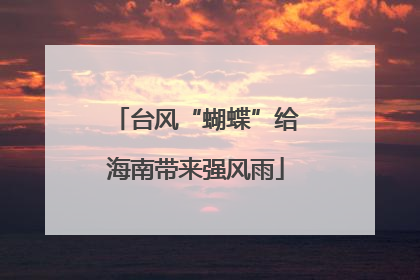 台风“蝴蝶”给海南带来强风雨