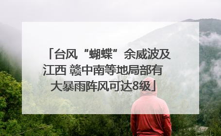 台风“蝴蝶”余威波及江西 赣中南等地局部有大暴雨阵风可达8级