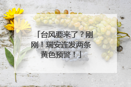 台风要来了？刚刚！瑞安连发两条黄色预警！