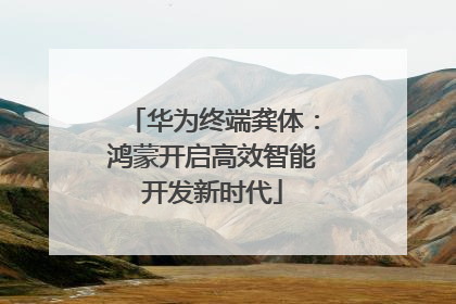 华为终端龚体：鸿蒙开启高效智能开发新时代