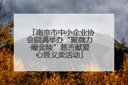 南京市中小企业协会圆满举办“聚微力·暖金陵”慈善献爱心暨义卖活动