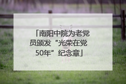 南阳中院为老党员颁发“光荣在党50年”纪念章
