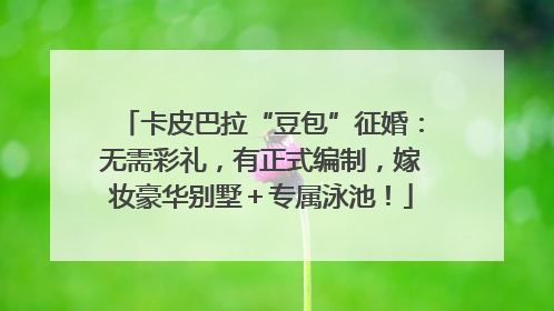 卡皮巴拉“豆包”征婚：无需彩礼，有正式编制，嫁妆豪华别墅＋专属泳池！