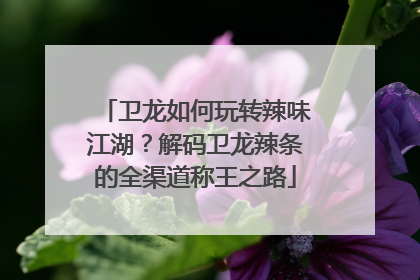 卫龙如何玩转辣味江湖？解码卫龙辣条的全渠道称王之路