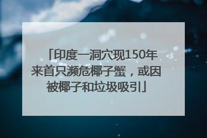 印度一洞穴现150年来首只濒危椰子蟹，或因被椰子和垃圾吸引