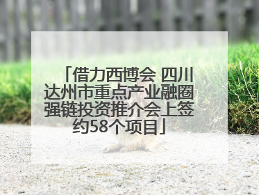 借力西博会 四川达州市重点产业融圈强链投资推介会上签约58个项目