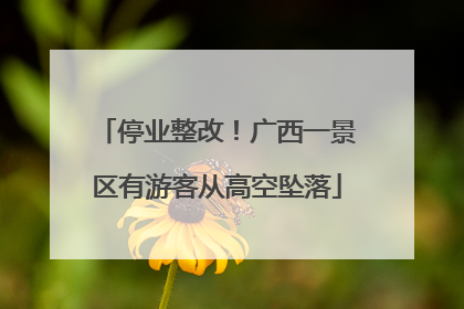 停业整改！广西一景区有游客从高空坠落