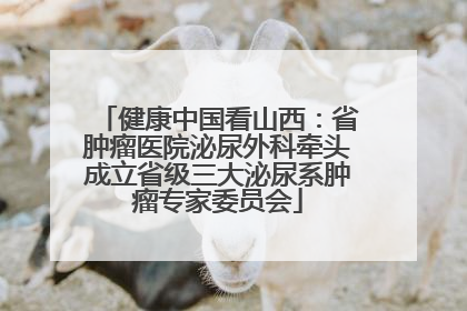健康中国看山西：省肿瘤医院泌尿外科牵头成立省级三大泌尿系肿瘤专家委员会