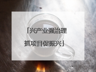 兴产业强治理 抓项目促振兴