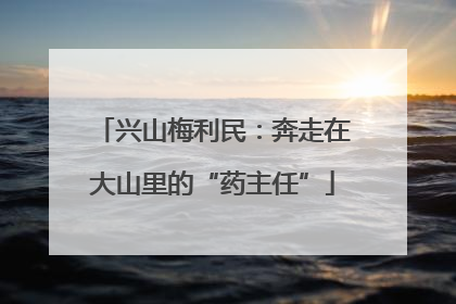 兴山梅利民：奔走在大山里的“药主任”