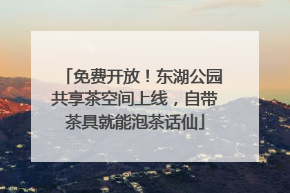免费开放！东湖公园共享茶空间上线，自带茶具就能泡茶话仙
