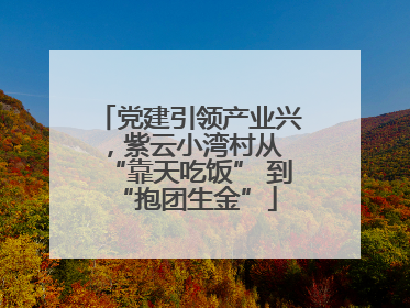 党建引领产业兴，紫云小湾村从 “靠天吃饭” 到 “抱团生金”