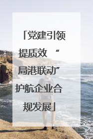 党建引领提质效 “局港联动”护航企业合规发展