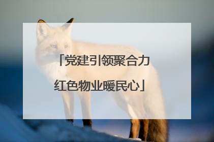 党建引领聚合力 红色物业暖民心