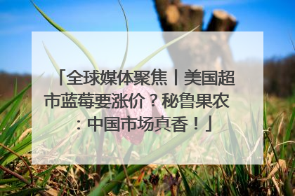 全球媒体聚焦丨美国超市蓝莓要涨价？秘鲁果农：中国市场真香！