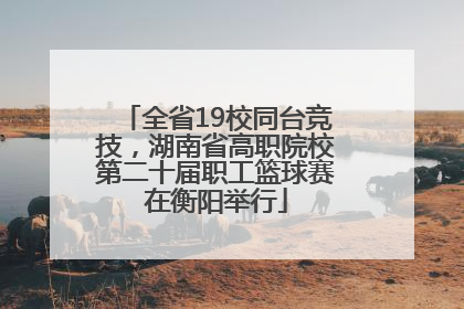 全省19校同台竞技，湖南省高职院校第二十届职工篮球赛在衡阳举行