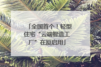 全国首个！轻型住宅“云端智造工厂”在厦启用
