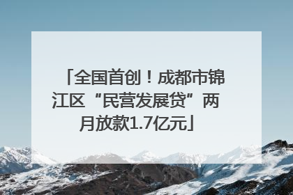 全国首创！成都市锦江区“民营发展贷”两月放款1.7亿元