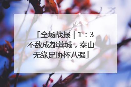 全场战报｜1：3不敌成都蓉城，泰山无缘足协杯八强