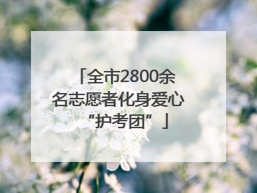全市2800余名志愿者化身爱心“护考团”
