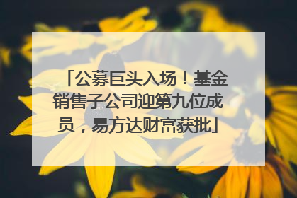 公募巨头入场！基金销售子公司迎第九位成员，易方达财富获批