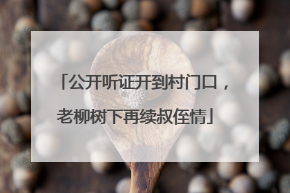 公开听证开到村门口，老柳树下再续叔侄情