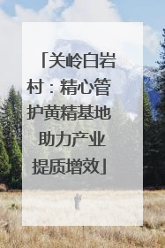 关岭白岩村：精心管护黄精基地 助力产业提质增效