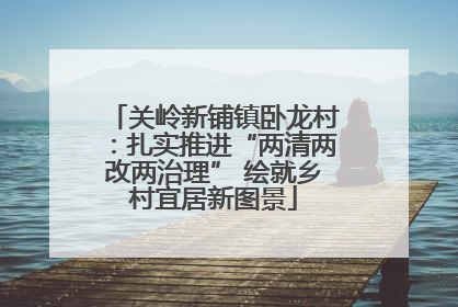 关岭新铺镇卧龙村：扎实推进“两清两改两治理” 绘就乡村宜居新图景
