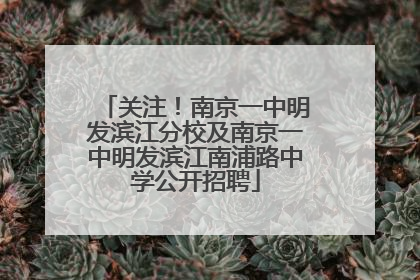 关注！南京一中明发滨江分校及南京一中明发滨江南浦路中学公开招聘