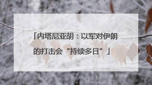 内塔尼亚胡：以军对伊朗的打击会“持续多日”