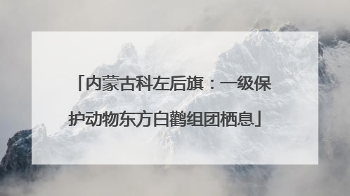 内蒙古科左后旗：一级保护动物东方白鹳组团栖息