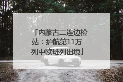 内蒙古二连边检站：护航第11万列中欧班列出境