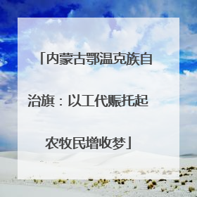 内蒙古鄂温克族自治旗：以工代赈托起农牧民增收梦