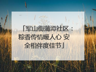 军山街蒲潭社区：粽香传情暖人心 安全相伴度佳节