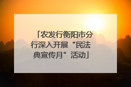 农发行衡阳市分行深入开展“民法典宣传月”活动