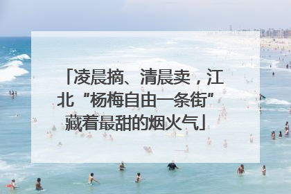 凌晨摘、清晨卖，江北“杨梅自由一条街”藏着最甜的烟火气
