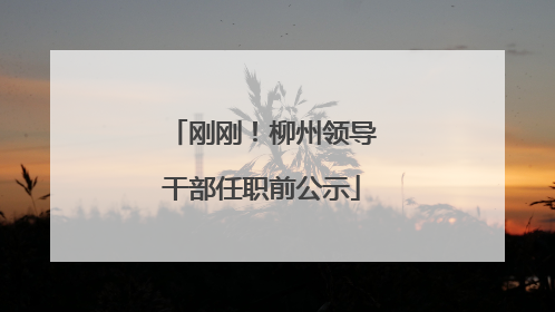 刚刚！柳州领导干部任职前公示