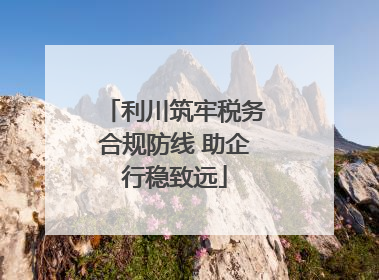 利川筑牢税务合规防线 助企行稳致远
