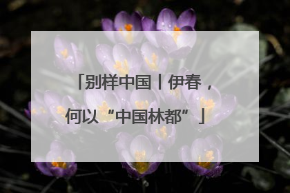 别样中国丨伊春，何以“中国林都”