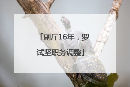 副厅16年，罗试坚职务调整