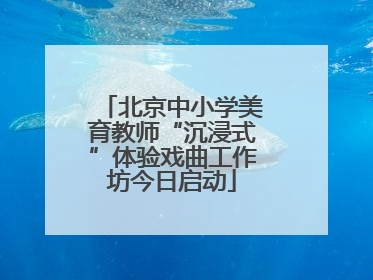 北京中小学美育教师“沉浸式”体验戏曲工作坊今日启动