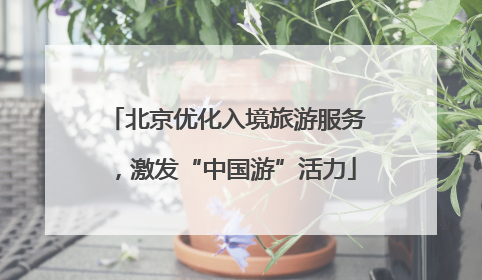 北京优化入境旅游服务，激发“中国游”活力