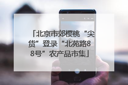 北京市郊樱桃“尖货”登录“北苑路88号”农产品市集